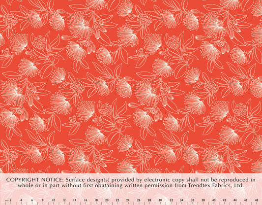 HD-040 Tangerine