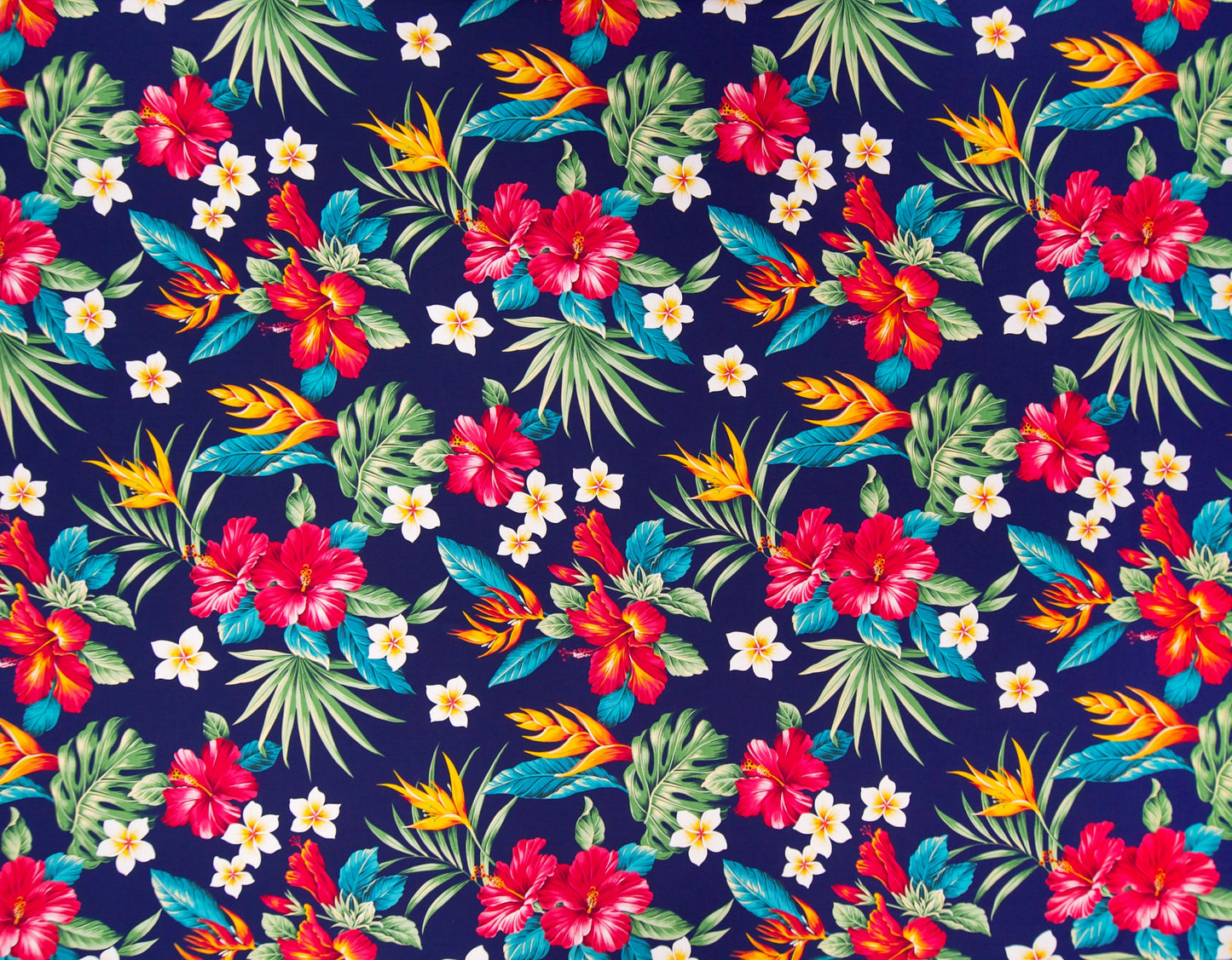 HD-055 Navy