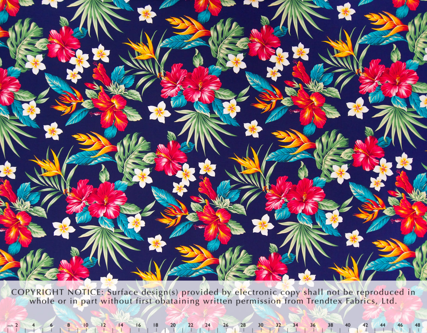 HD-055 Navy