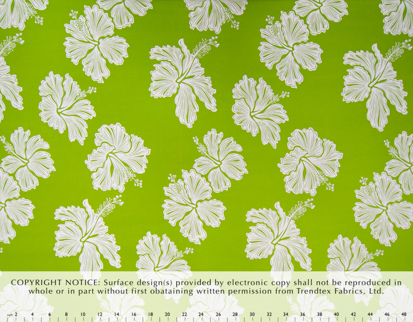 HF-058 Lime