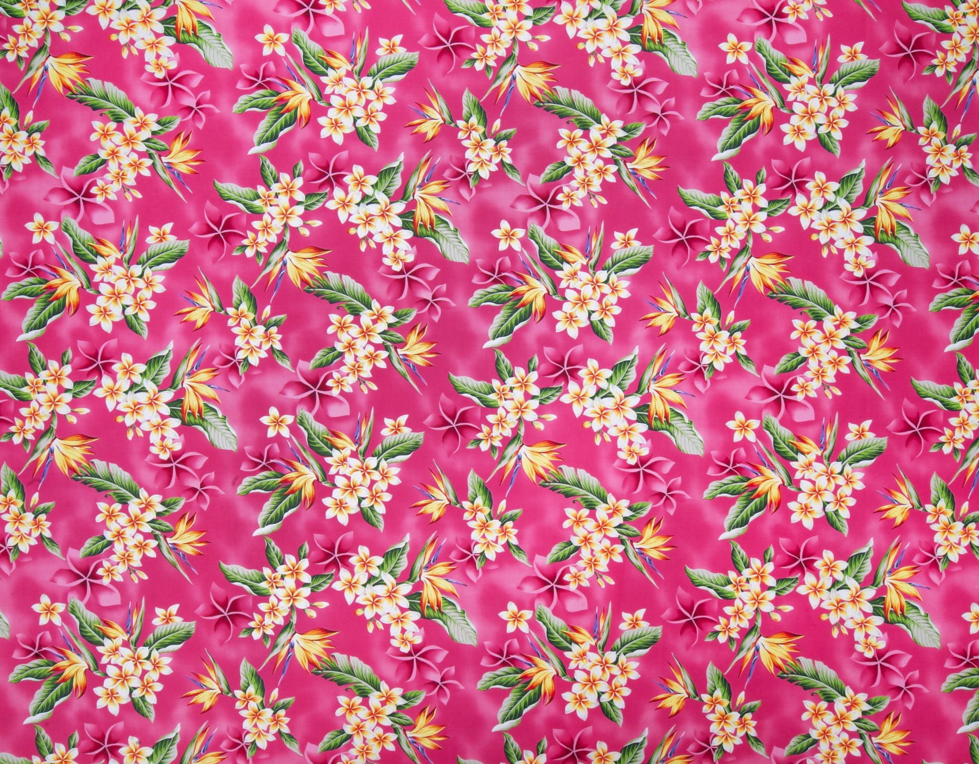 HJA-034 Pink  Trendtex Fabrics Cotton Poplin trendtexfabrics.myshopify.com TrendtexFabrics