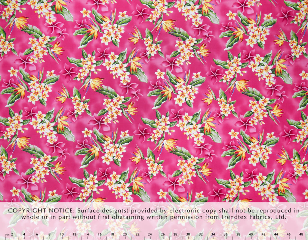 HJA-034 Pink  Trendtex Fabrics Cotton Poplin trendtexfabrics.myshopify.com TrendtexFabrics