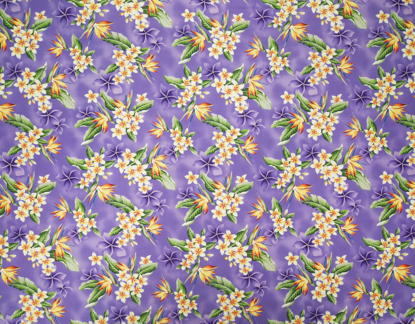 HJA-034 Purple  Trendtex Fabrics Cotton Poplin trendtexfabrics.myshopify.com TrendtexFabrics