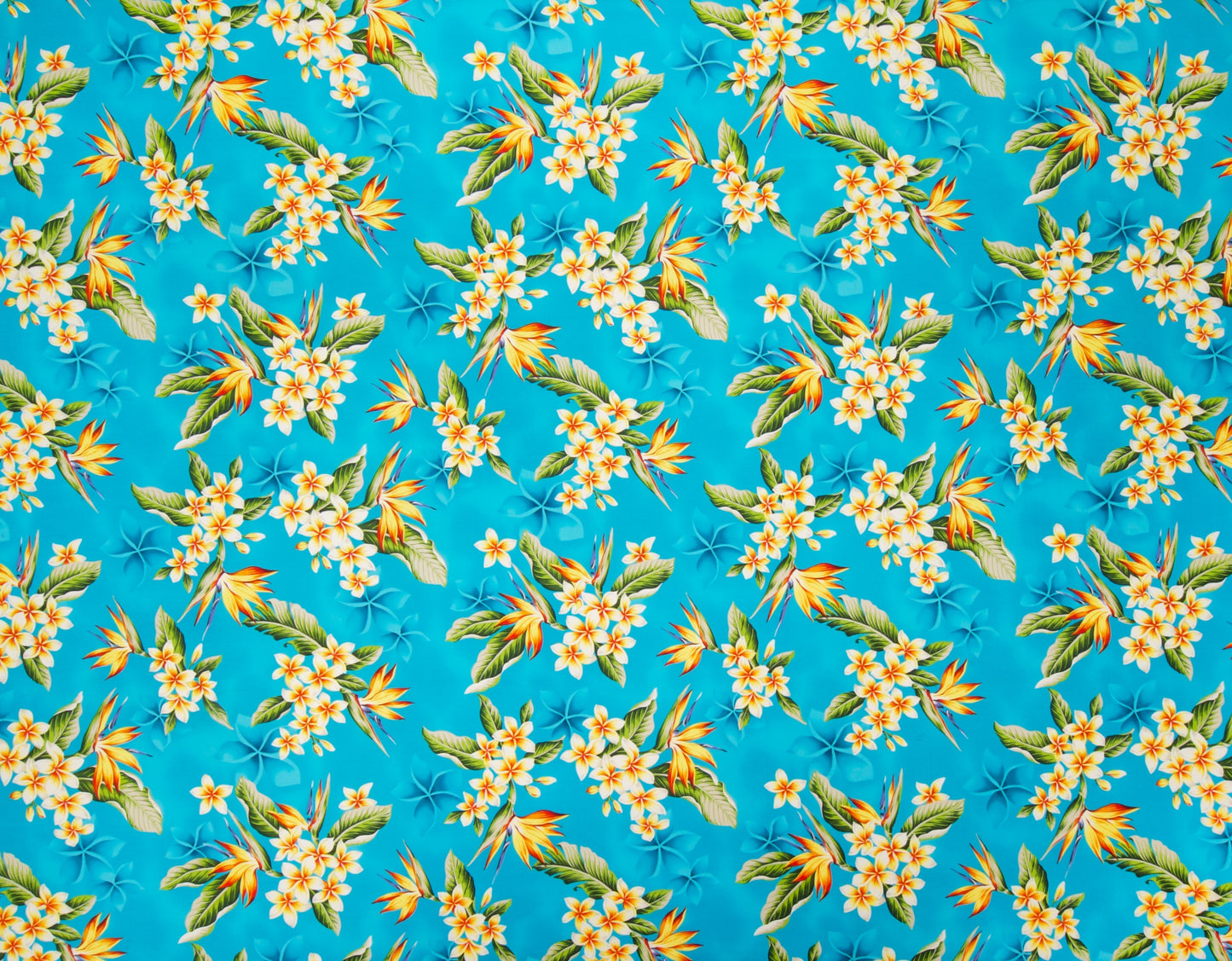 HJA-034 Turq  Trendtex Fabrics Cotton Poplin trendtexfabrics.myshopify.com TrendtexFabrics