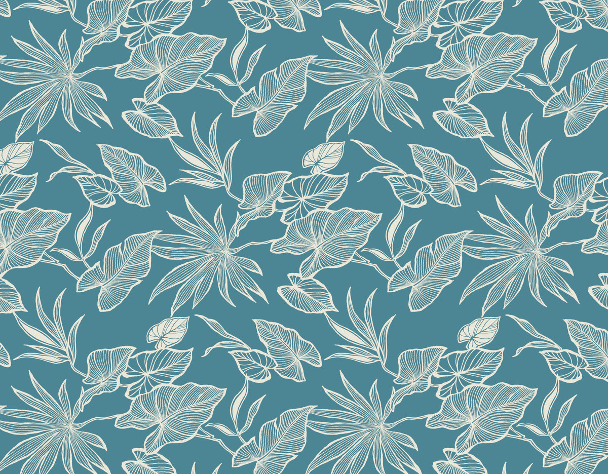 HJA-054 Aqua