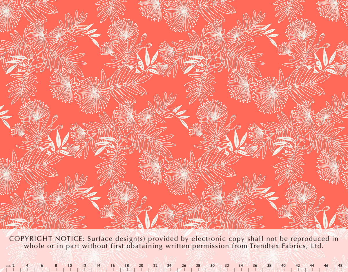 HJU-040 Coral