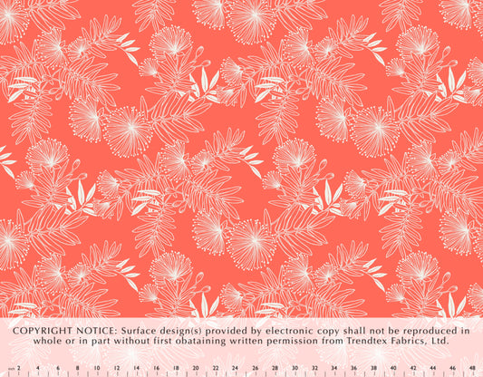 HJU-040 Coral