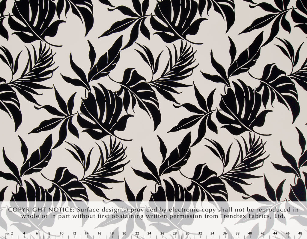 HJY-004 Cream/Black