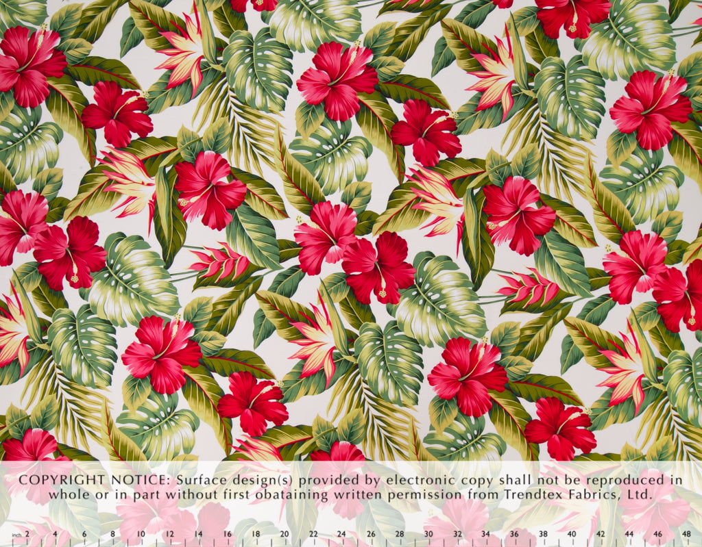 HM-014 Cream