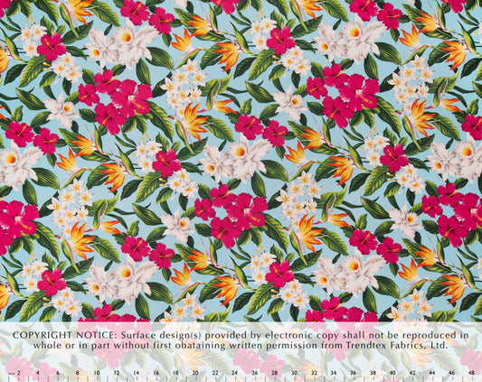 HM-040 Sky  Trendtex Fabrics Cotton Dobby trendtexfabrics.myshopify.com TrendtexFabrics