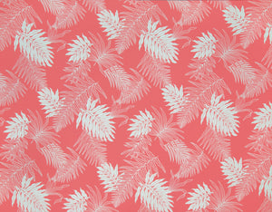 HM-041 Coral