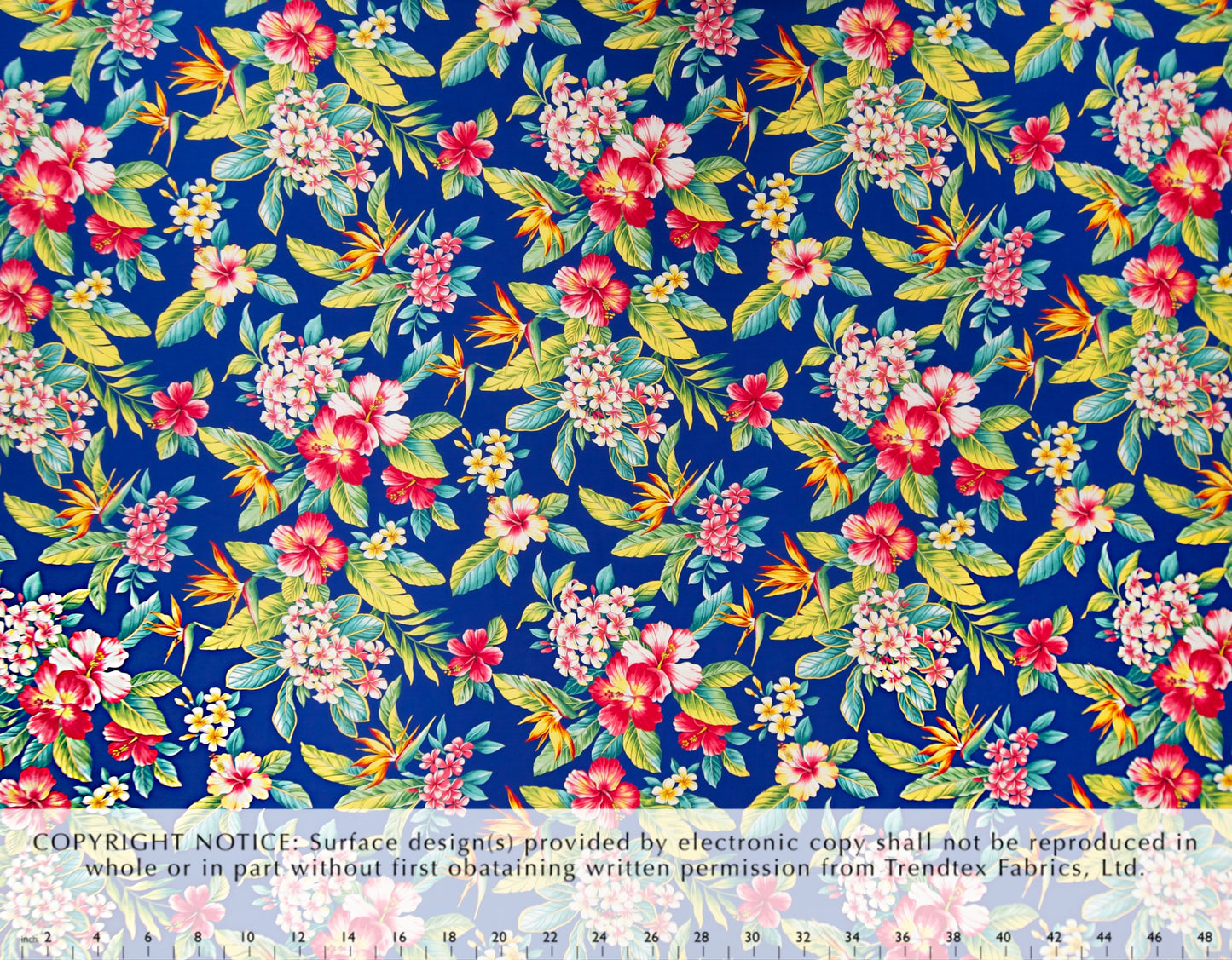 HM-049 Royal