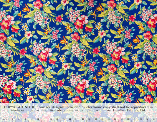 HM-049 Royal