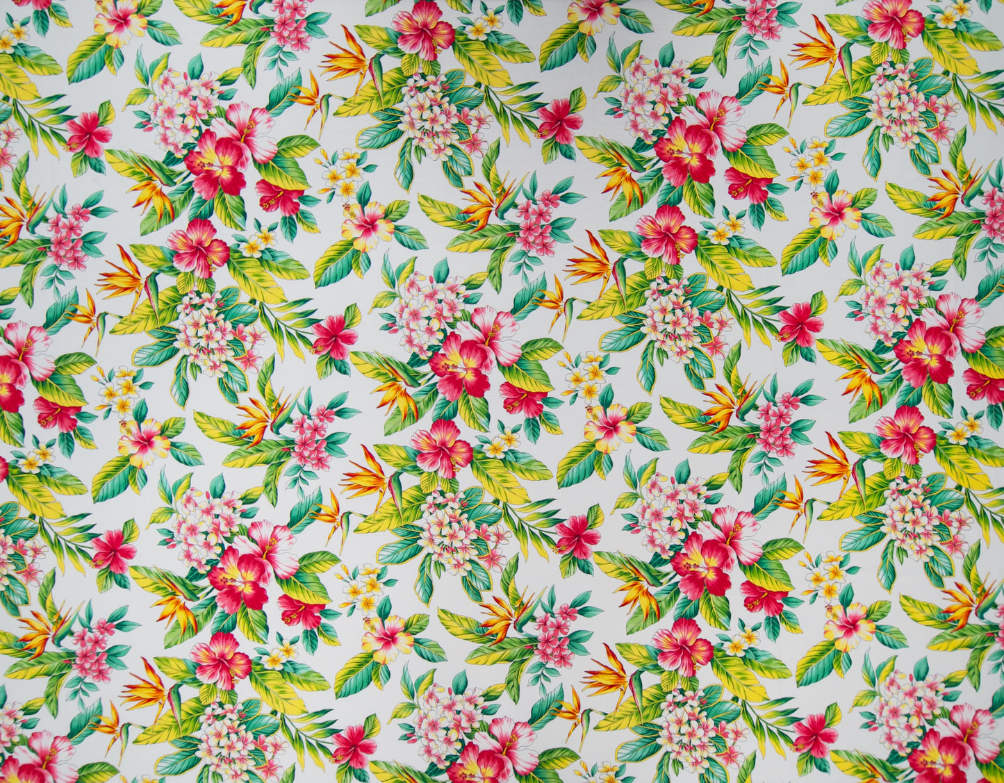HM-049 White