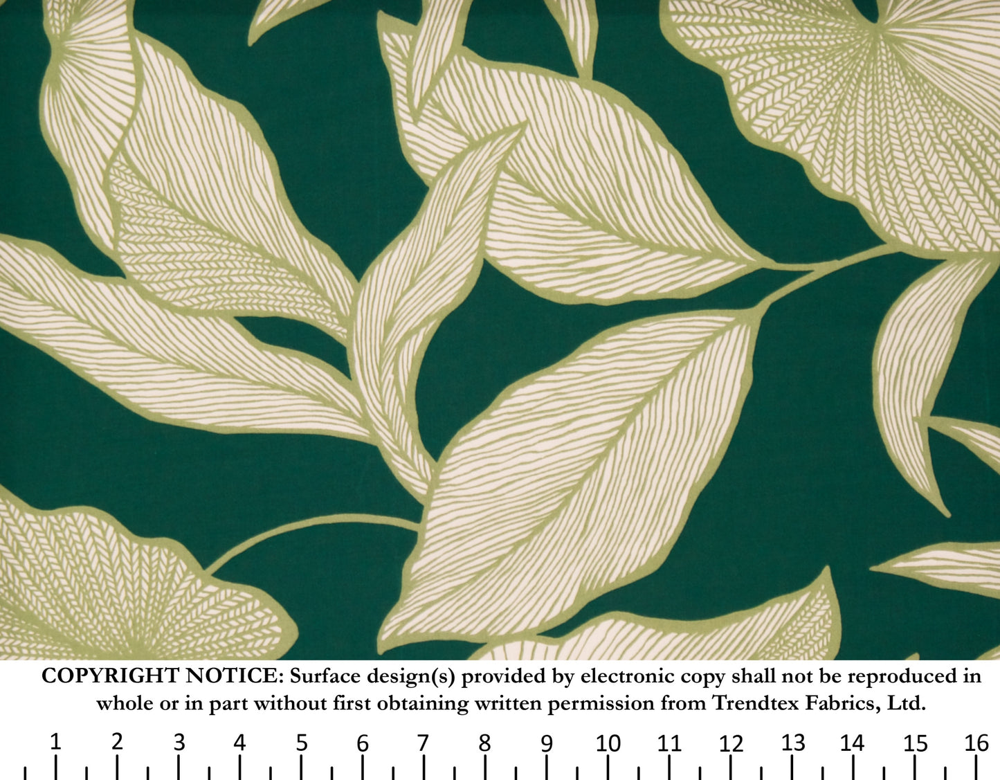 HM-060 Forest