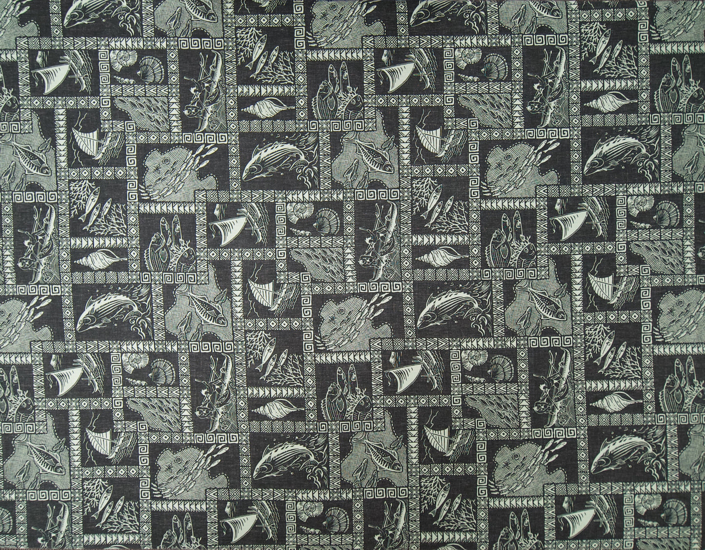 HM-061 Black *Reverse-Facing Optimized