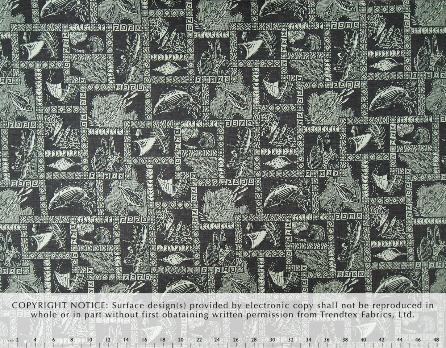 HM-061 Black *Reverse-Facing Optimized