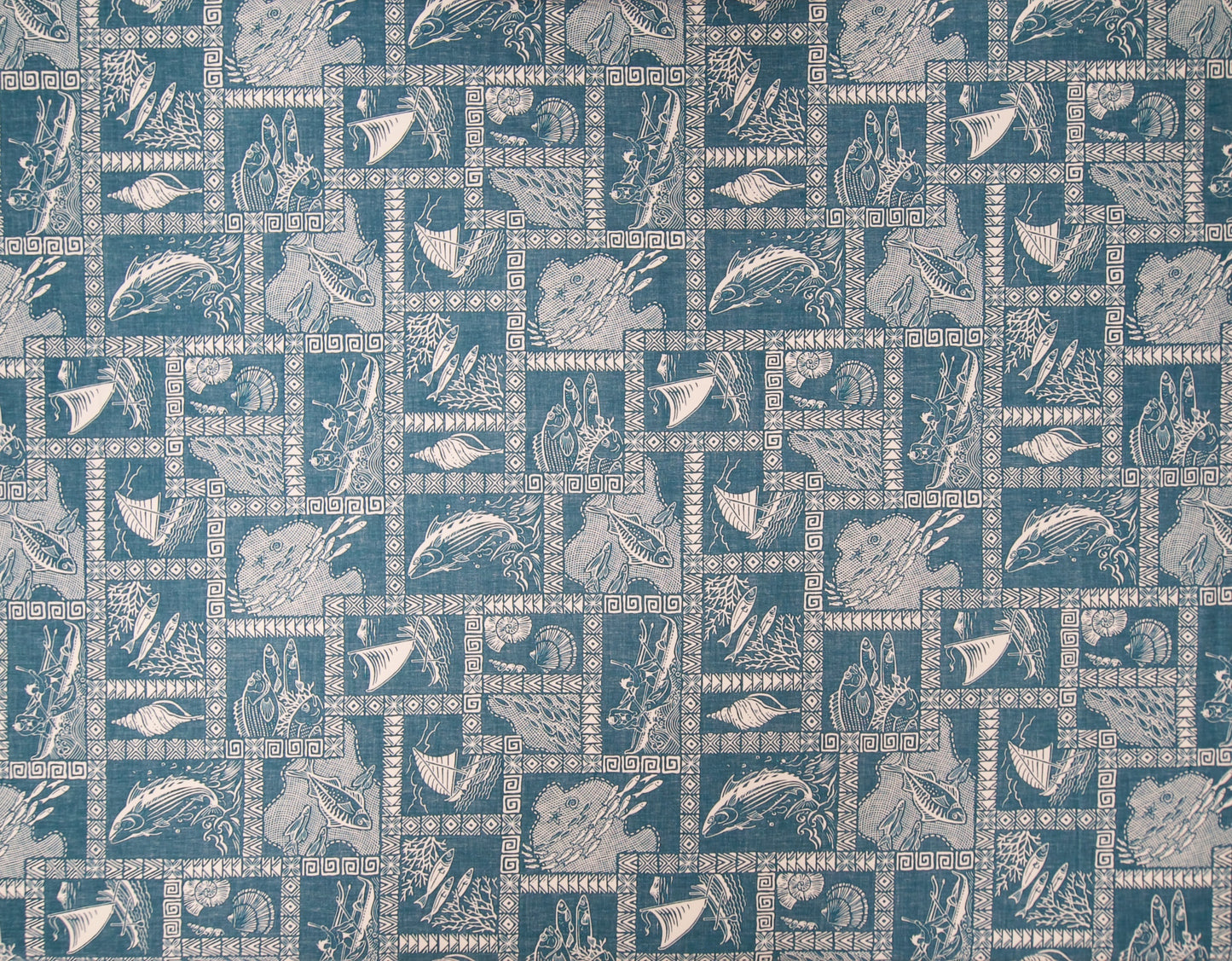 HM-061 Teal *Reverse-Facing Optimized