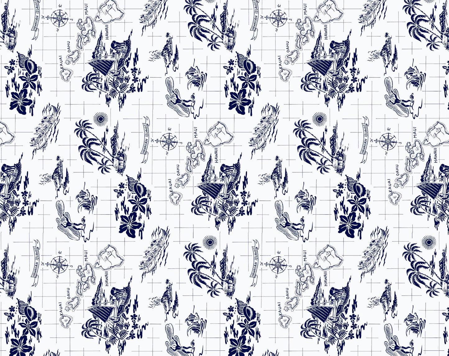 HMA-061 Navy