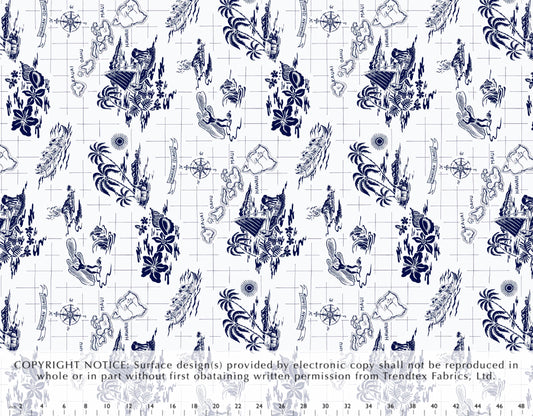 HMA-061 Navy