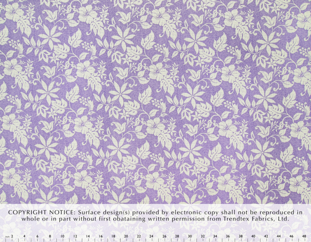 HOC-011 Lavender