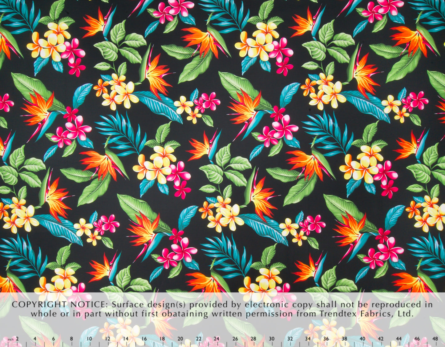 JL-002 Black (Short Yardage: 3.5 Yards)