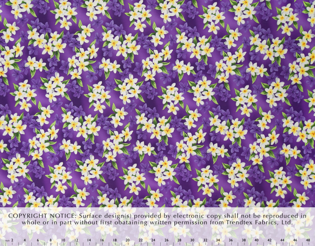 KB-007 Purple  Trendtex Fabrics Cotton Poplin trendtexfabrics.myshopify.com TrendtexFabrics