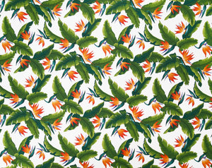KC-010 White  Trendtex Fabrics Cotton Poplin trendtexfabrics.myshopify.com TrendtexFabrics