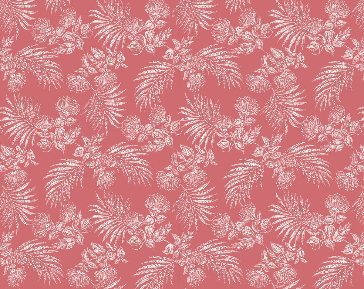 KM-002 Coral