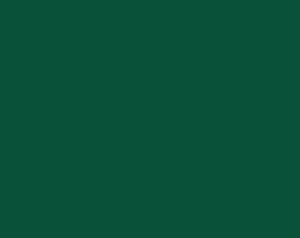 Manoa Cotton Plain Dyed Solid Forest