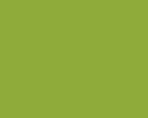 Manoa Cotton Plain Dyed Solid Moss