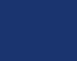 Manoa Cotton Plain Dyed Solid Royal