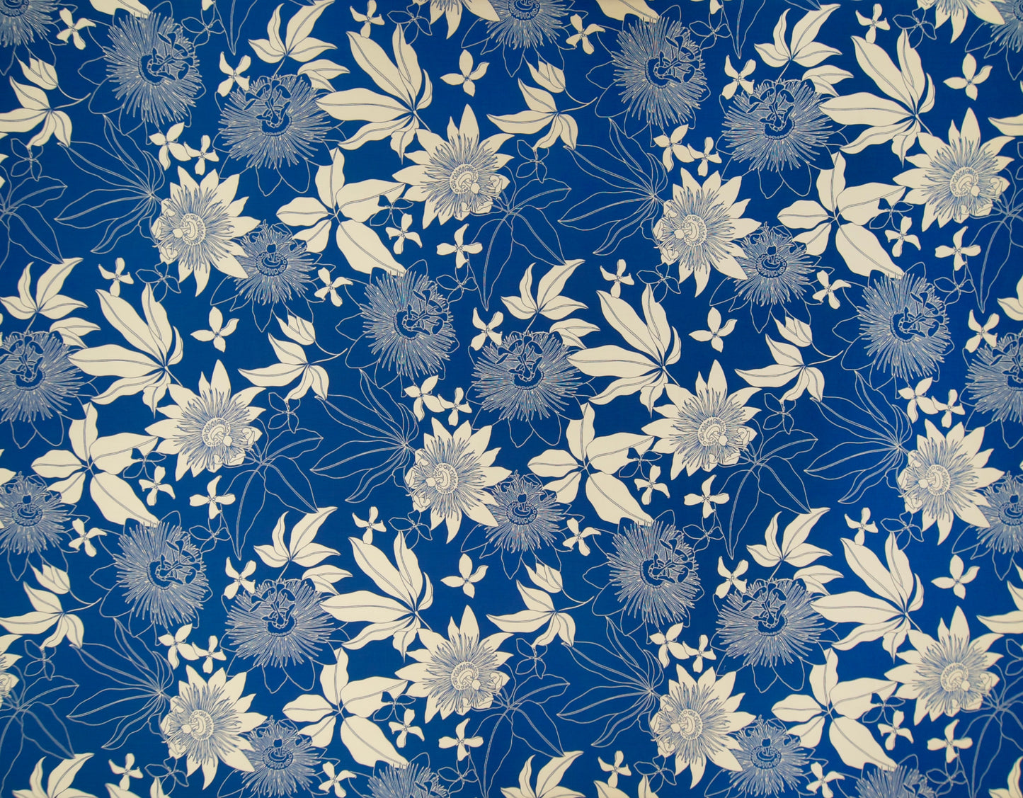 NLX60213 Blue