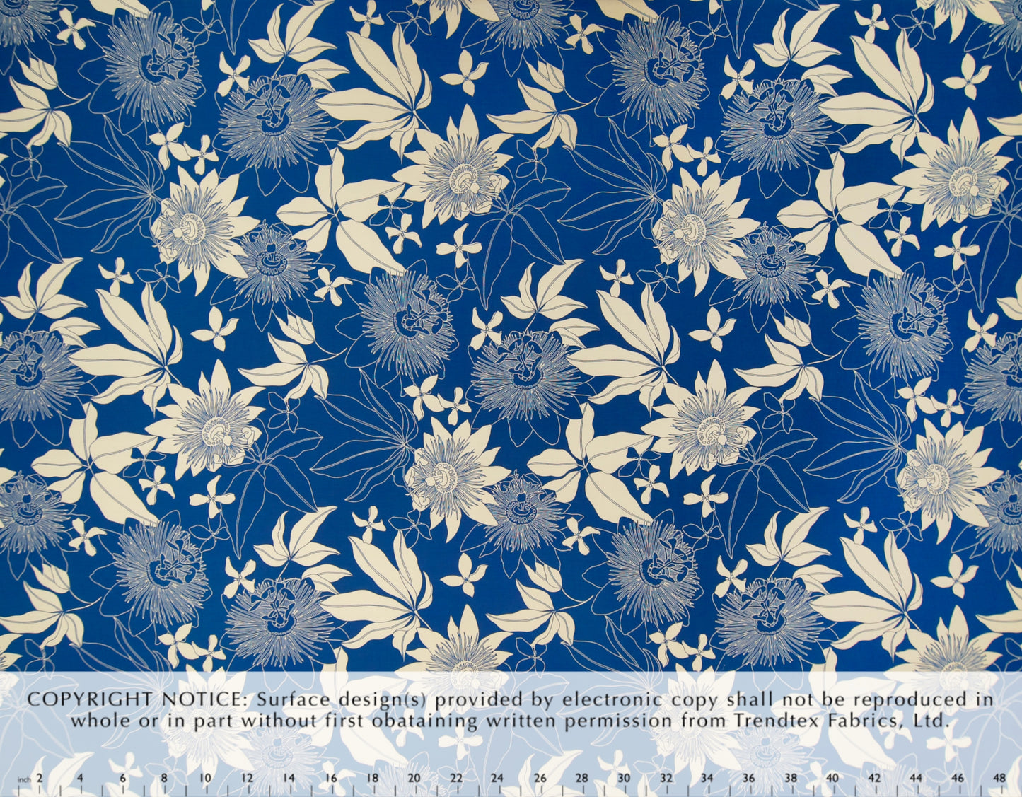 NLX60213 Blue