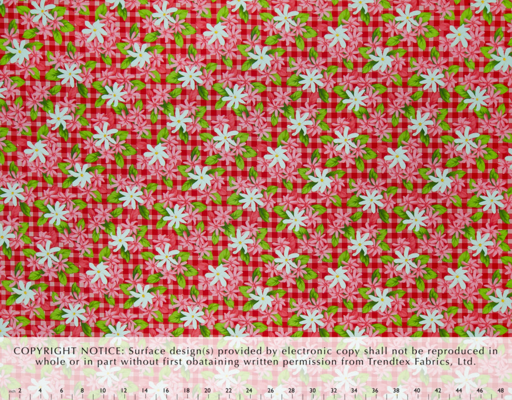 TKF-081 Red