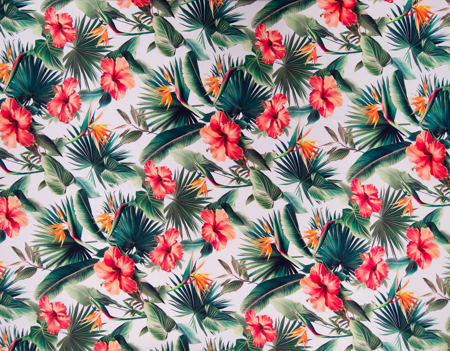 TKF-101 Cream *Digital Printing