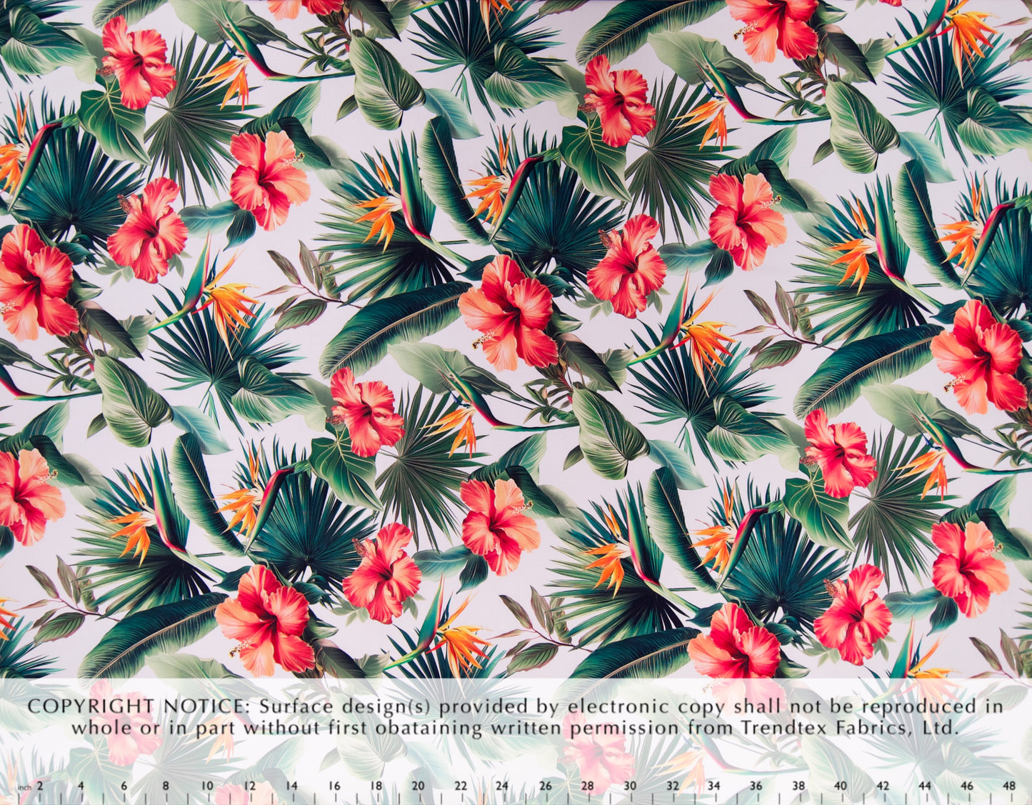 TKF-101 Cream *Digital Printing