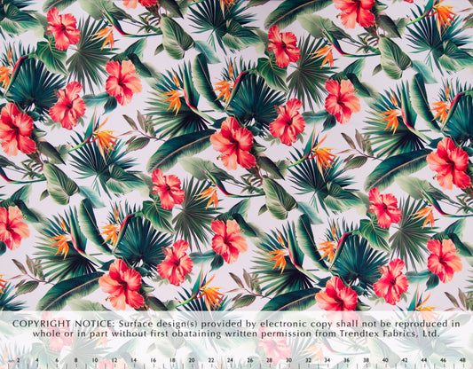 TKF-101 Cream *Digital Printing