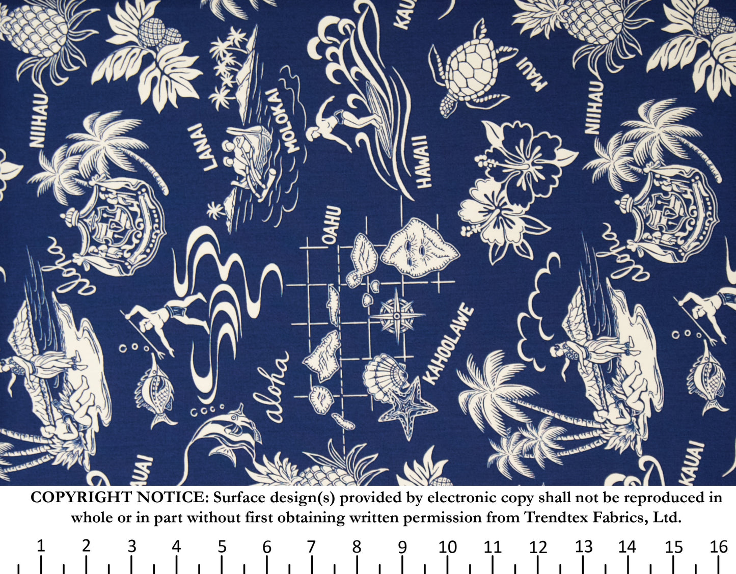 TKF-136 Navy
