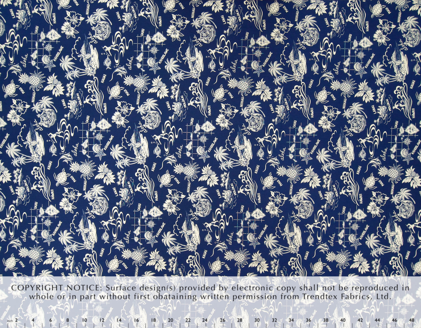 TKF-136 Navy