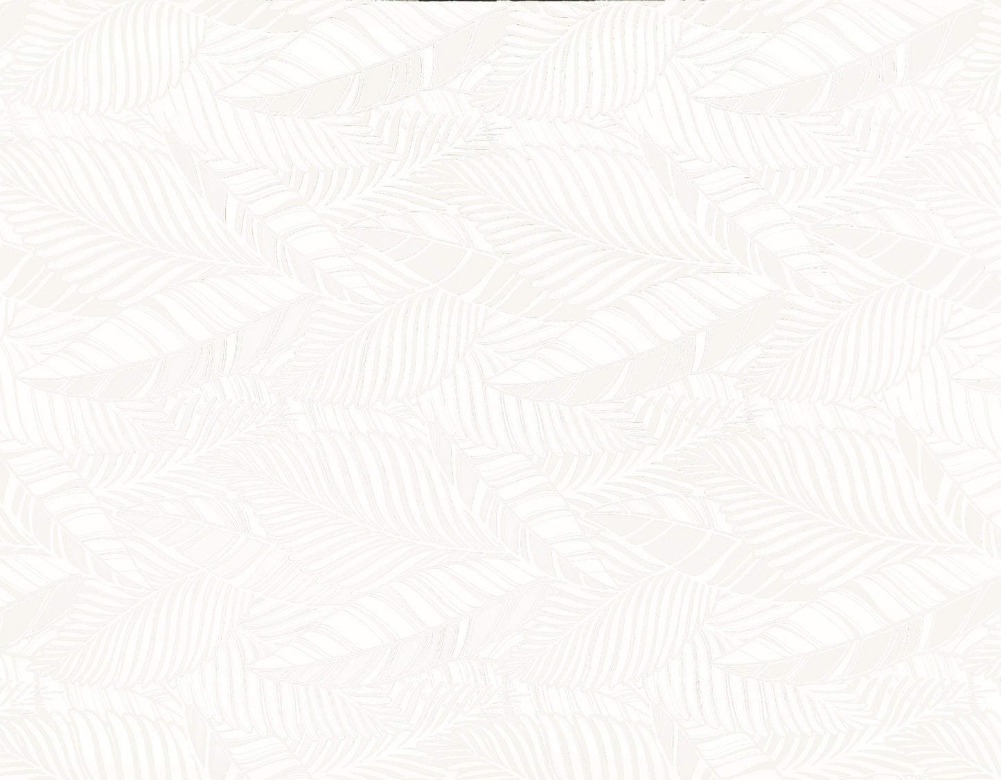 TKF-137 White/White