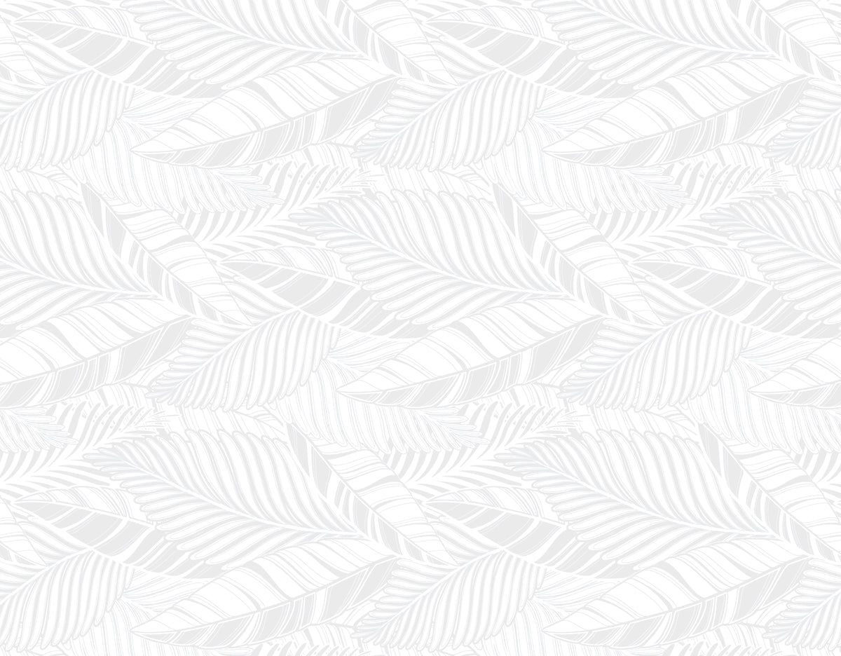 TKF-137 White/White