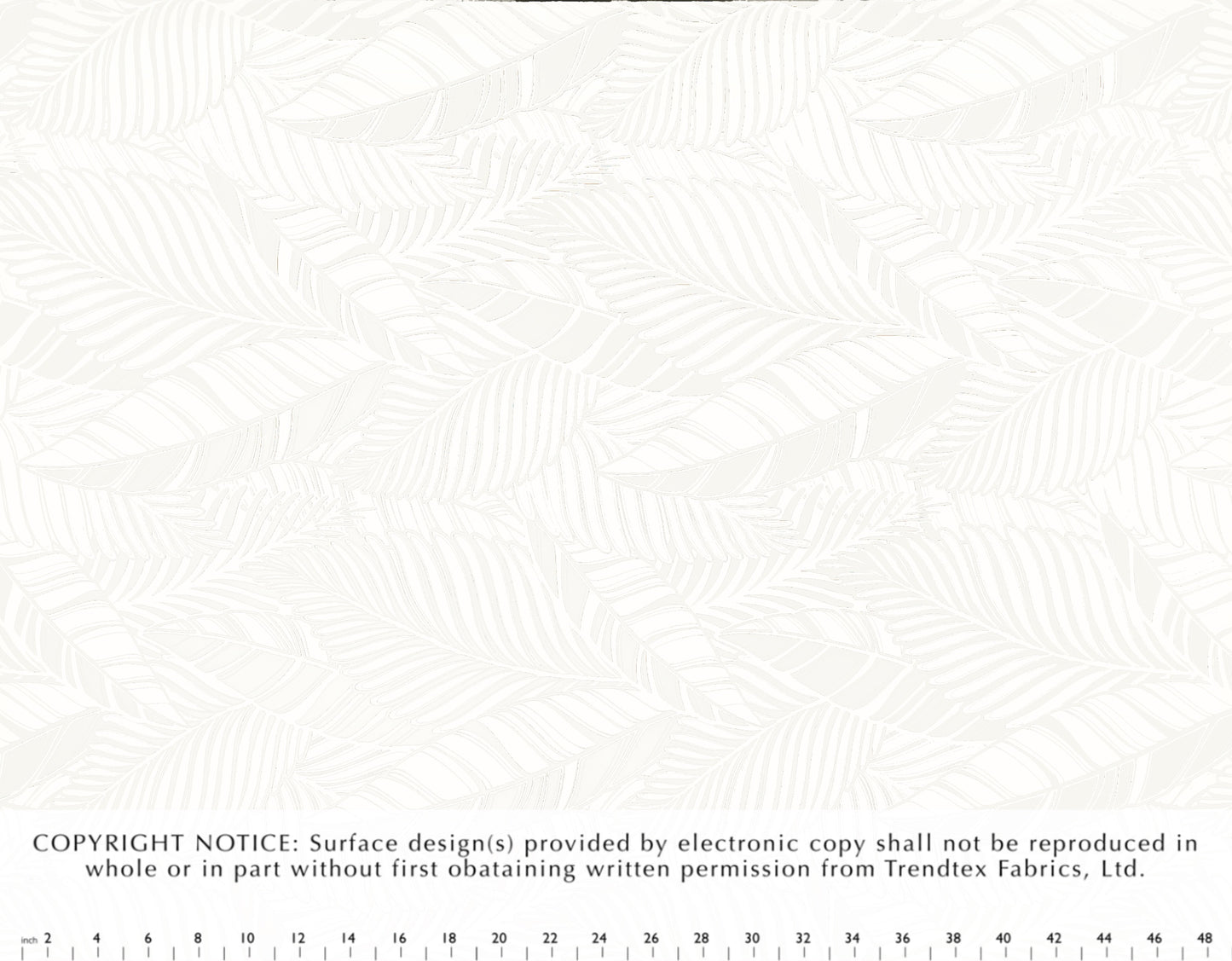 TKF-137 White/White