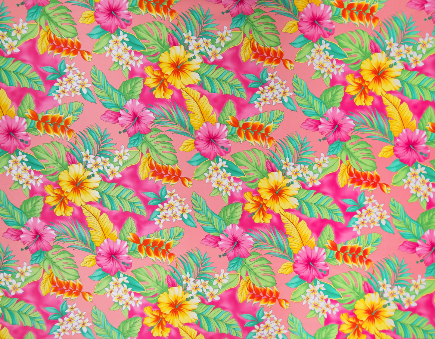 TKF-142 Coral