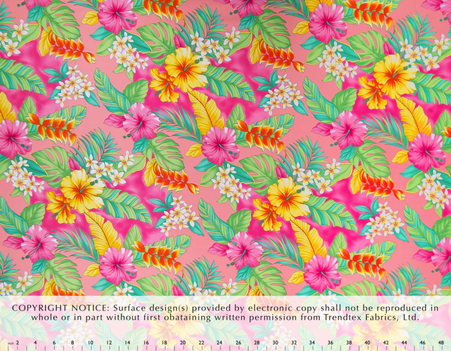 TKF-142 Coral