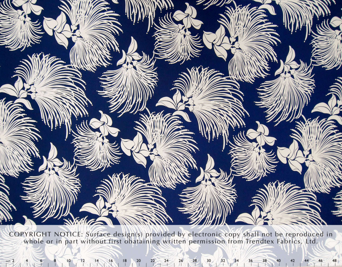 TKF-148 Navy