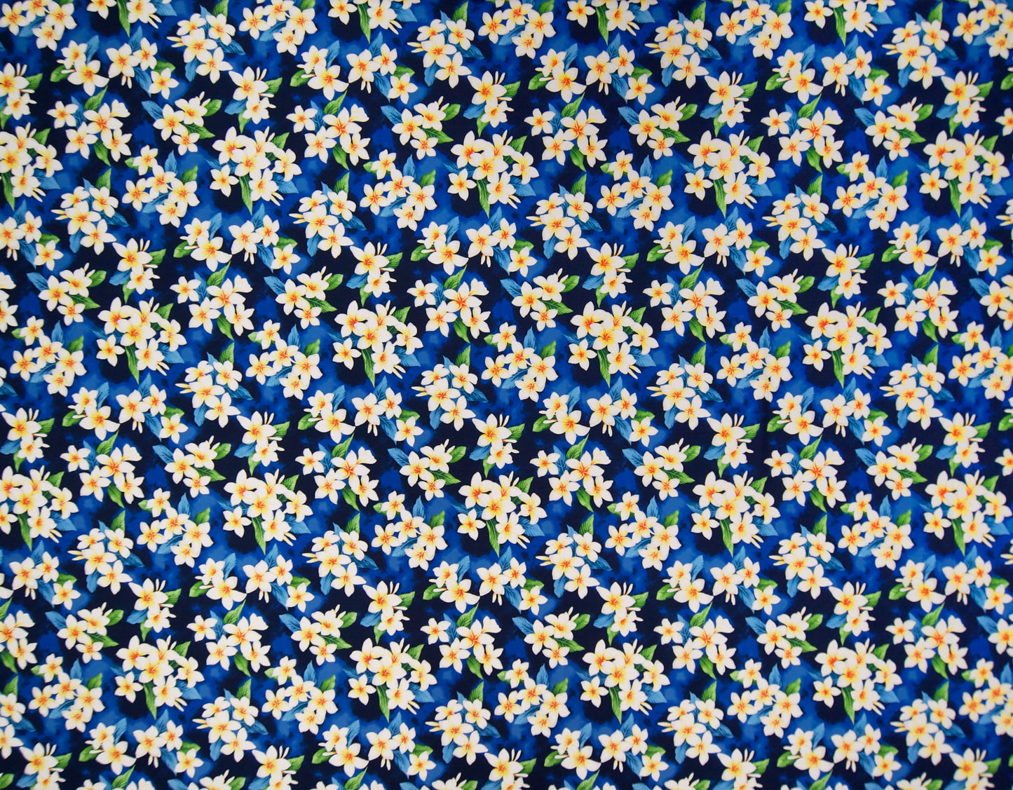 TKF-154 Blue