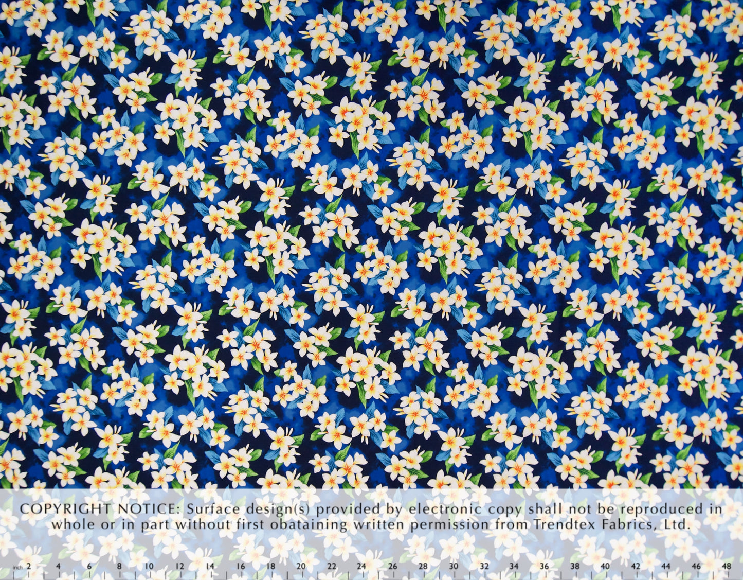 TKF-154 Blue