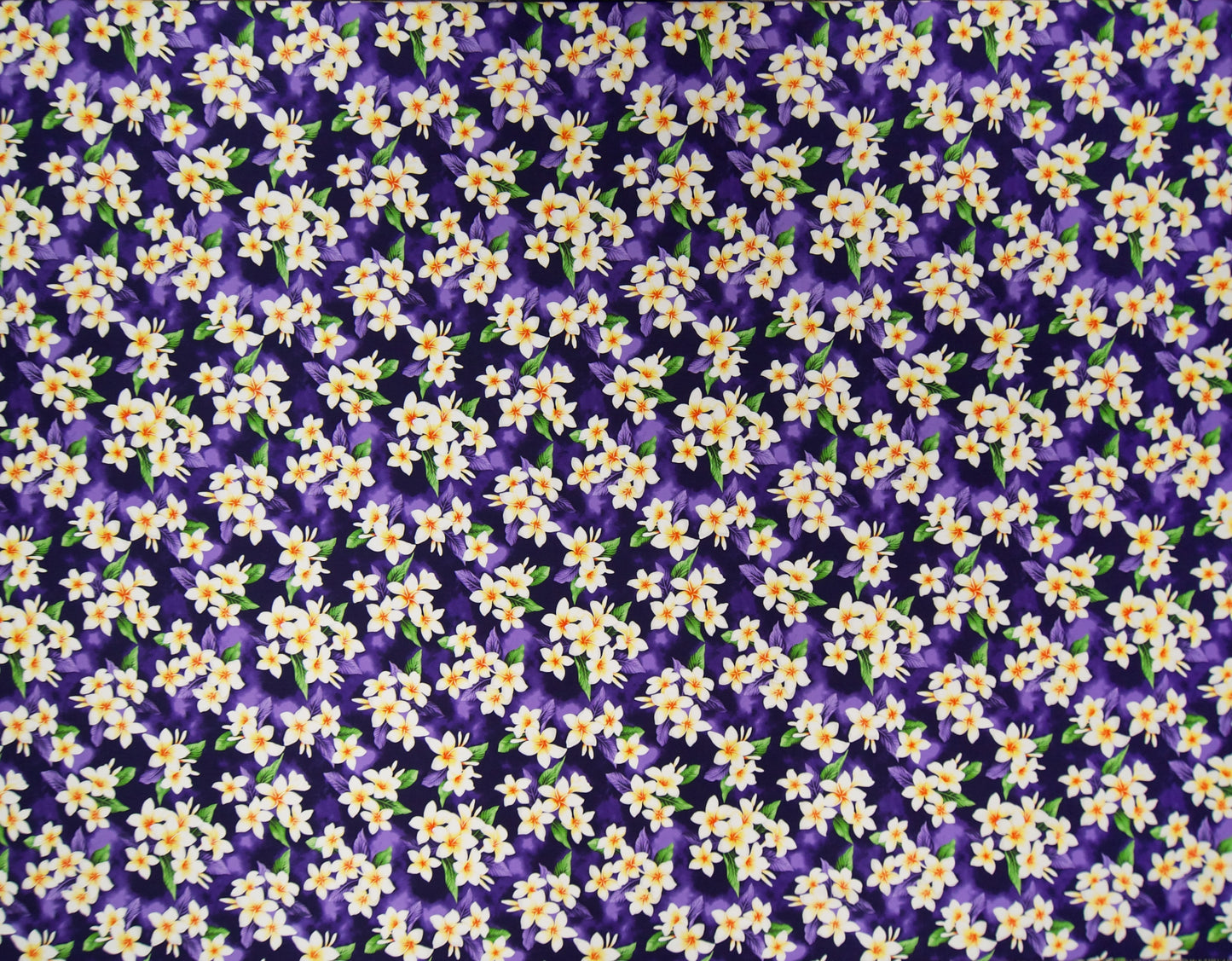 TKF-154 Purple