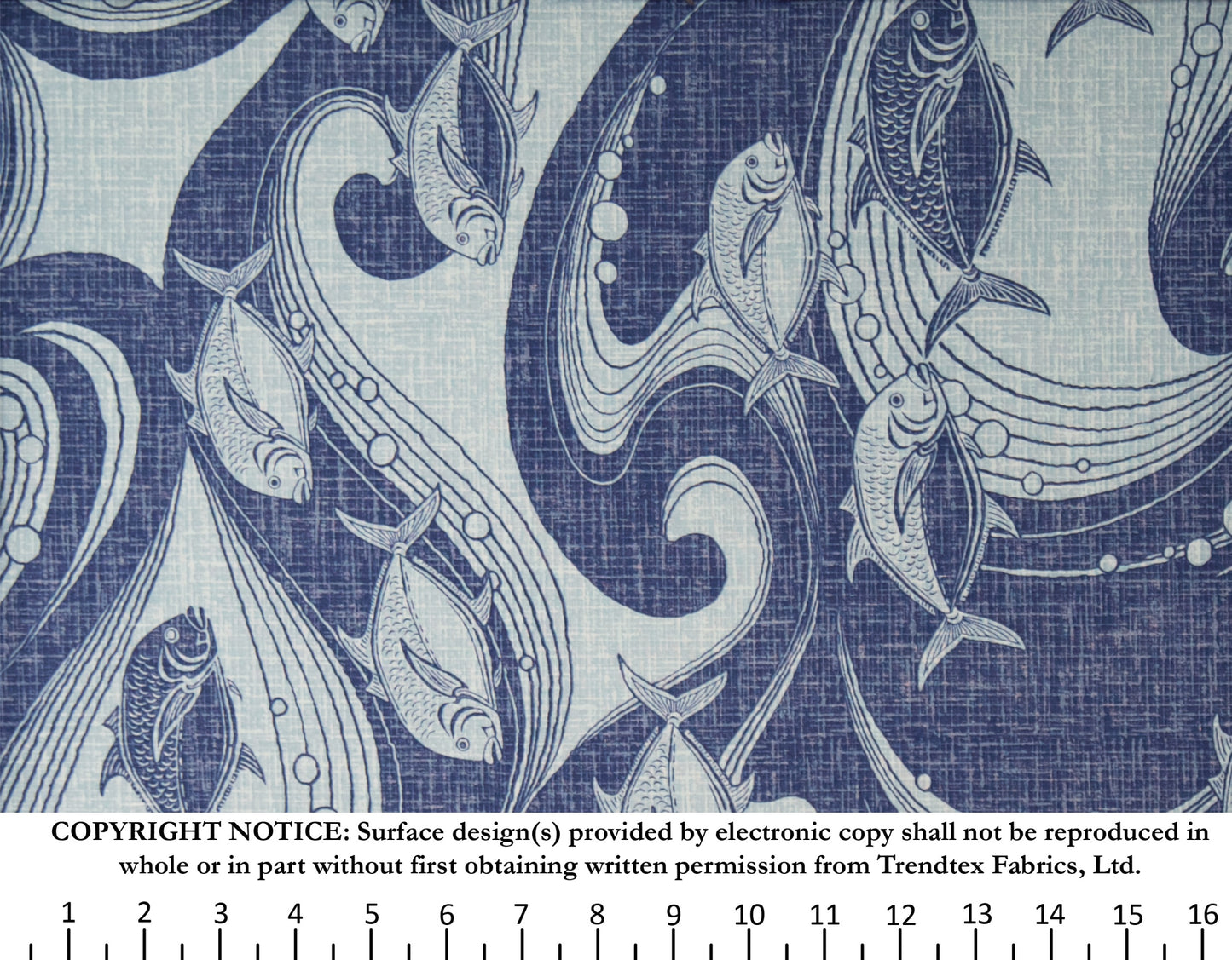TKF-161 Navy *Reverse-Facing Optimized